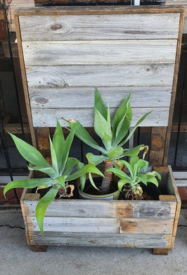 740mm Planter box with screen wooden recycled