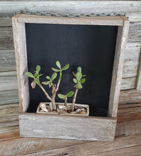 Load image into Gallery viewer, &quot;The Broadwater&quot; 360mm shadow box (Natural)
